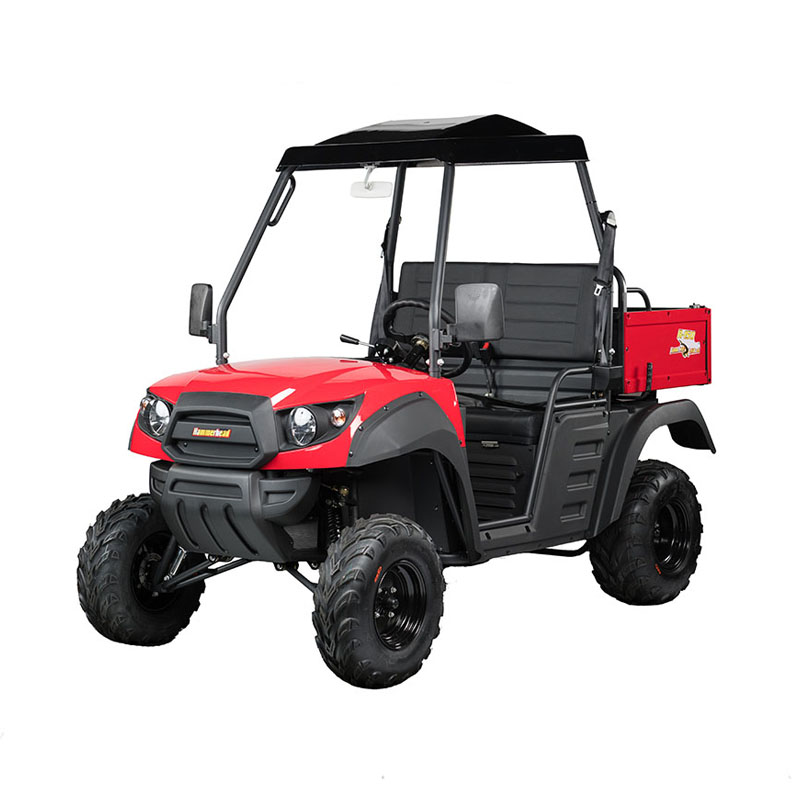 hammerhead 150 buggy