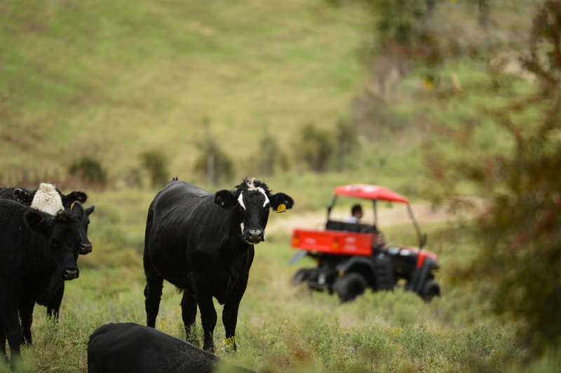 Three Choices of Off-road Vehicles To Meet Your Trail Needs