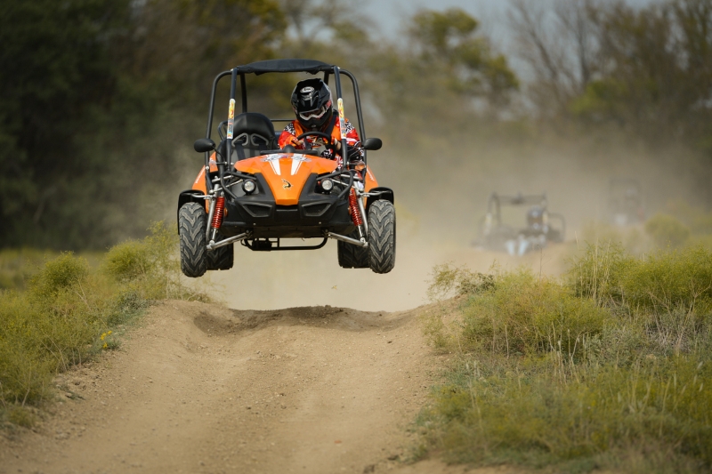 hammerhead off road go kart