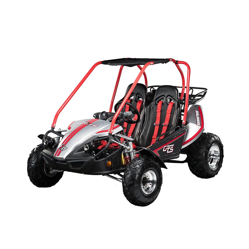 hammerhead go kart 250cc