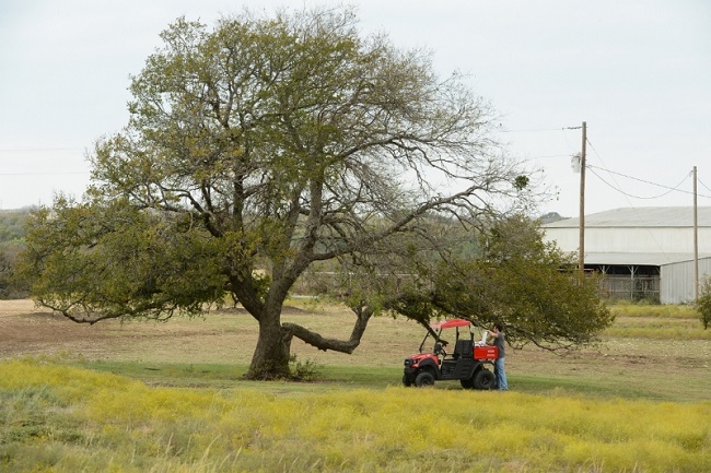 Hammerhead R-150™ Off-Road for Work and Play