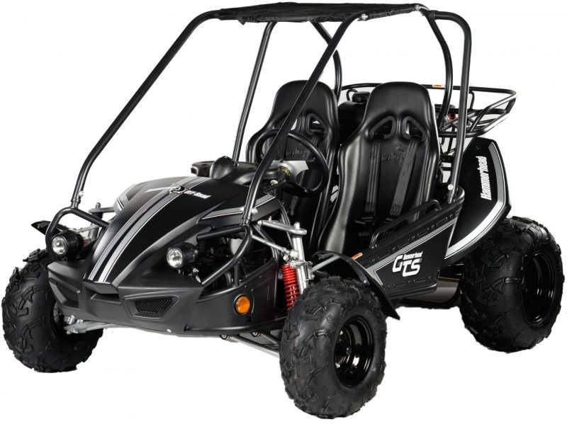 hammerhead off road go kart