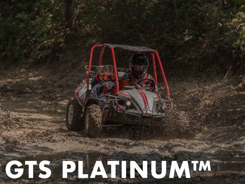 GTS Platinum