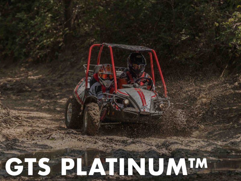 Experience Thrills Unleashed: Hammerhead GTS Platinum Offroad Go-Kart