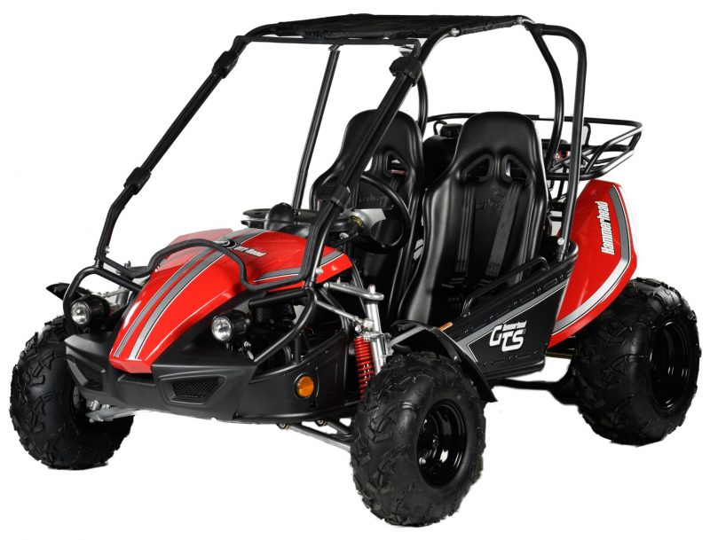 gts 150 buggy