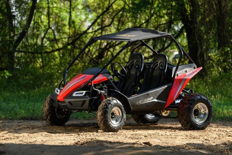 Hammerhead OffRoad Debuts New 2019 LE 150 Hammerhead OffRoad