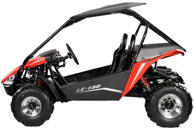 hammerhead 150 buggy